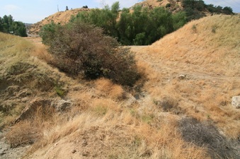 Enlarge photo 33