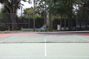 Enlarge photo 153