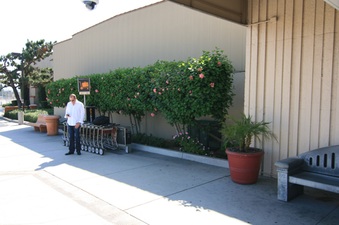 Enlarge photo 61
