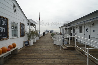 Malibu Farm