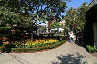 Enlarge photo 45