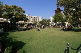 Enlarge photo 55
