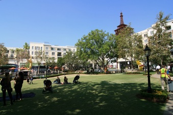 Enlarge photo 57