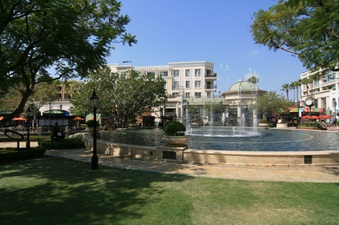 Enlarge photo 62