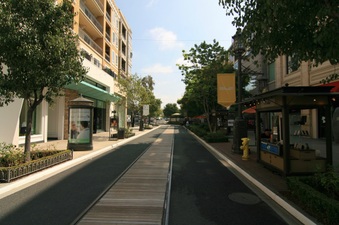 Enlarge photo 73
