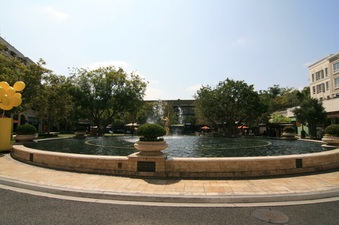Enlarge photo 88