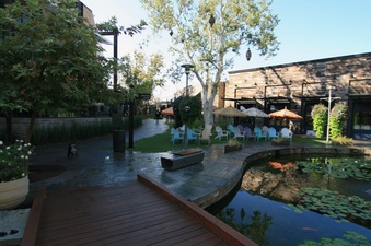 Enlarge photo 23