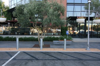 Enlarge photo 55
