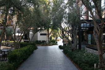 Enlarge photo 57