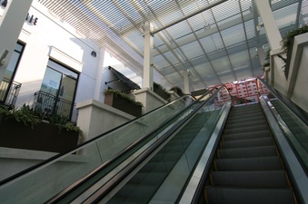 Enlarge photo 81