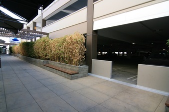 Enlarge photo 93