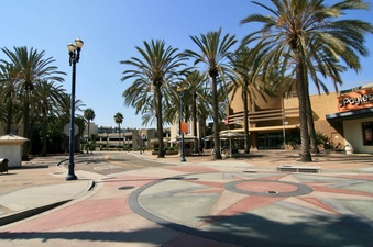 Enlarge photo 60