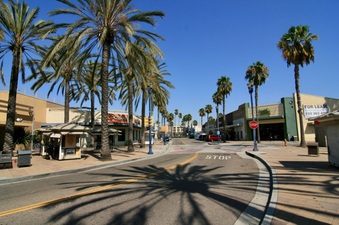 Enlarge photo 63