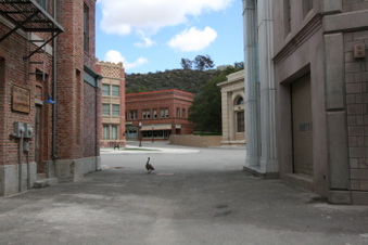 Enlarge photo 93