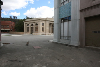 Enlarge photo 99
