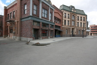Enlarge photo 105