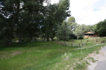 Enlarge photo 283