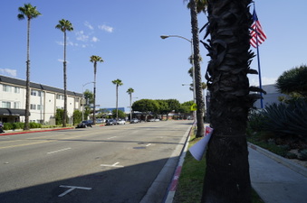 Enlarge photo 35