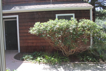Enlarge photo 29
