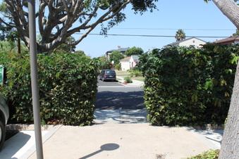 Enlarge photo 35