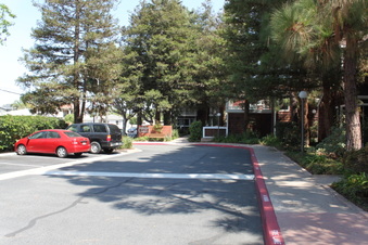 Enlarge photo 41