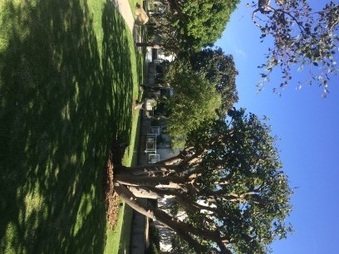 Enlarge photo 27