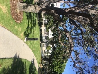 Enlarge photo 28
