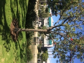 Enlarge photo 30