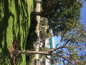 Enlarge photo 31