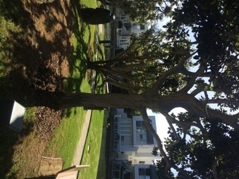 Enlarge photo 36