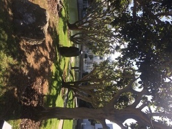 Enlarge photo 37