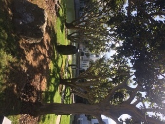 Enlarge photo 38