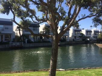 Enlarge photo 42