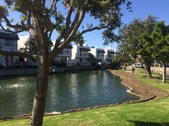 Enlarge photo 43