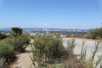 Enlarge photo 14