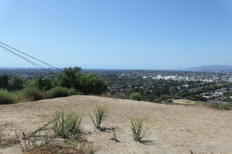 Enlarge photo 21