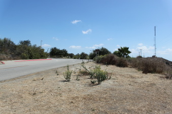 Enlarge photo 27
