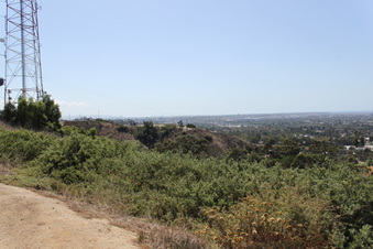 Enlarge photo 37