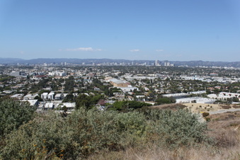 Enlarge photo 40