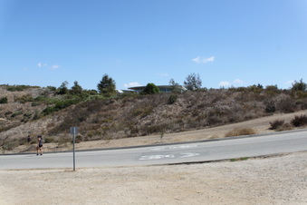 Enlarge photo 43
