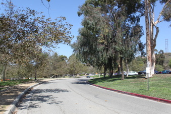 Enlarge photo 19