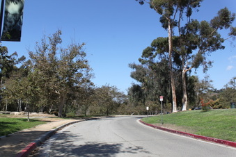 Enlarge photo 25