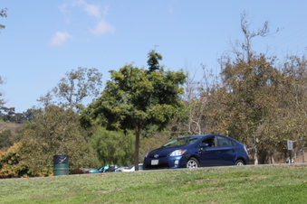 Enlarge photo 26