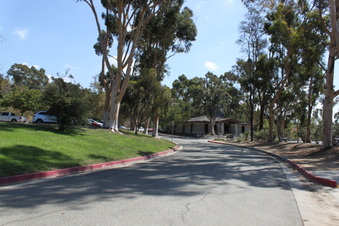 Enlarge photo 28