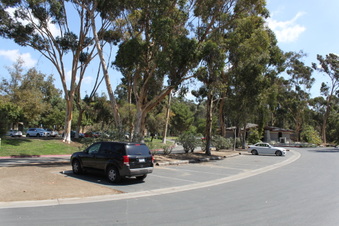 Enlarge photo 30