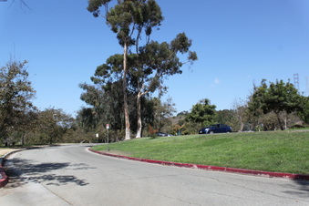 Enlarge photo 33