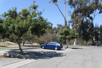 Enlarge photo 35