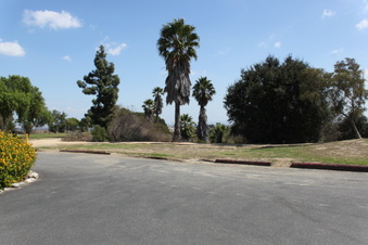 Enlarge photo 41
