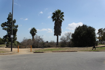 Enlarge photo 42