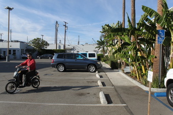 Enlarge photo 14